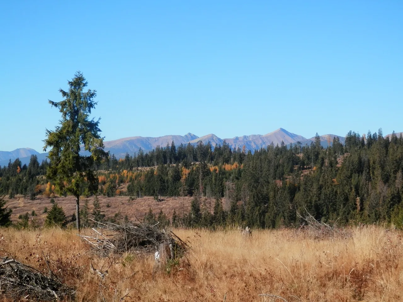 Best Autumn Hikes in Slovakia for Every Fitness Level