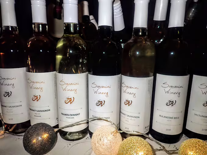 Small Carpathian Museum of Wine Culture — image 6