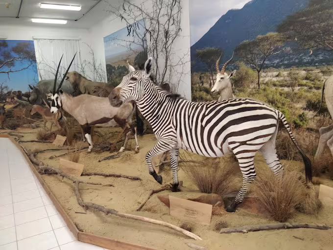 Danube Region Museum, Komárno — image 7