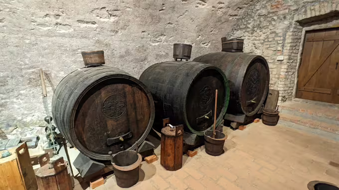 Small Carpathian Museum of Wine Culture — image 3