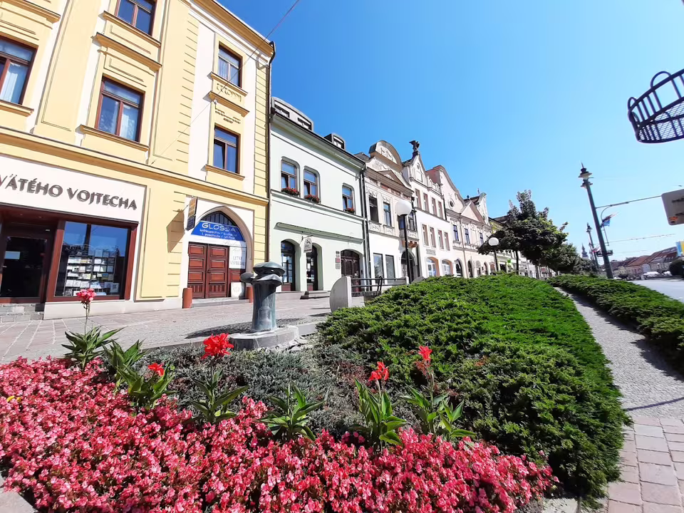 Šarišská Chiža — image 1