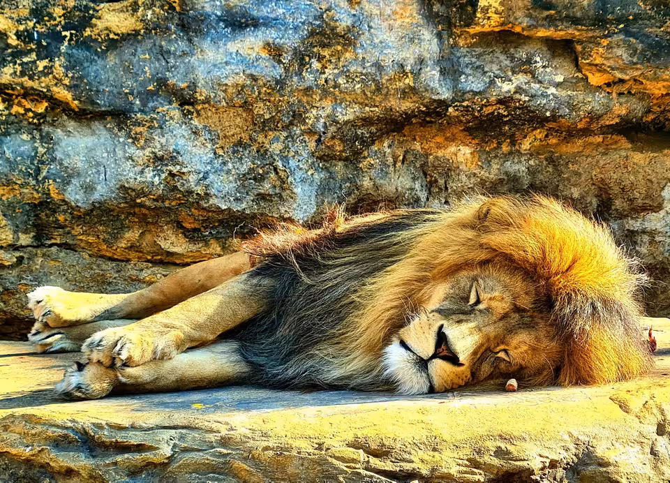 Bojnice Zoo in Bojnice