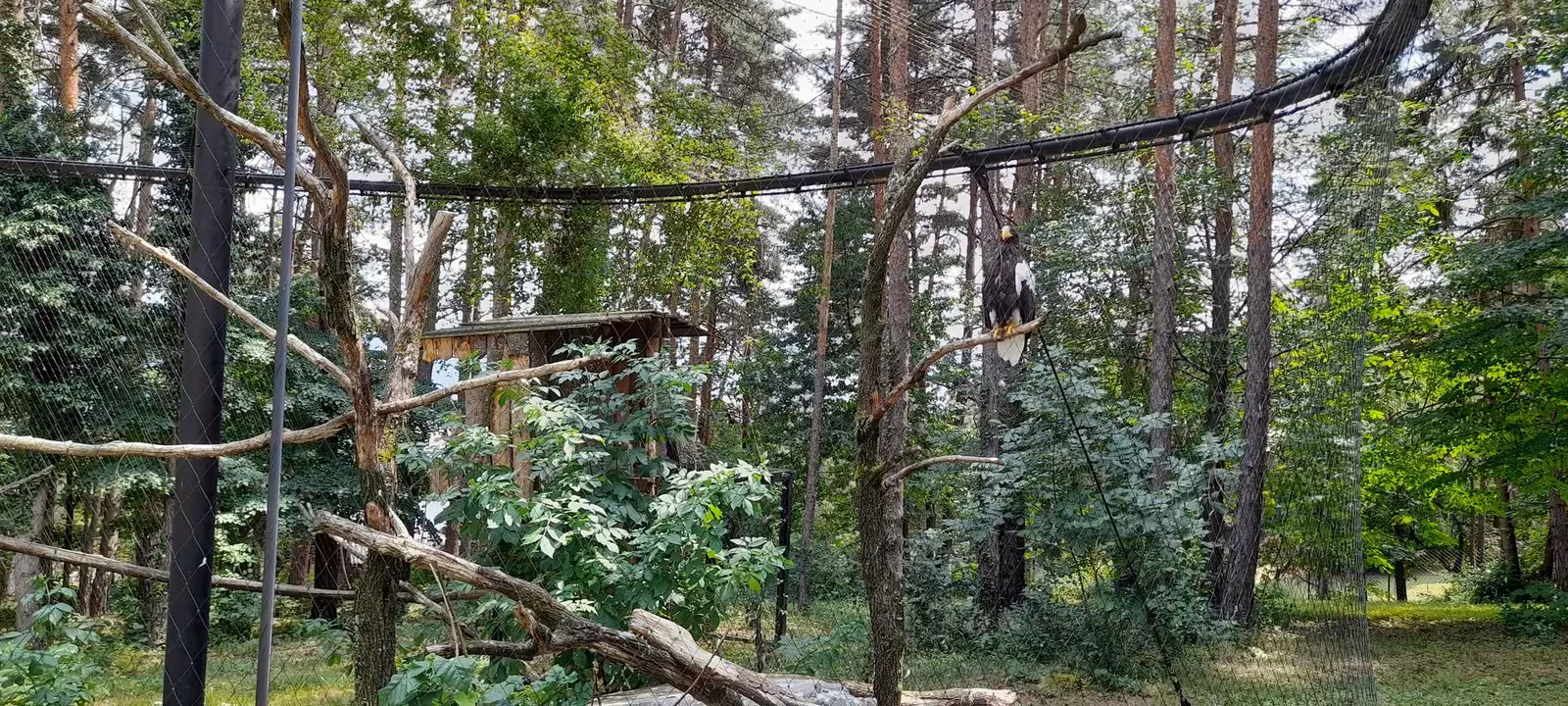 Bojnice Zoo – gallery image 3
