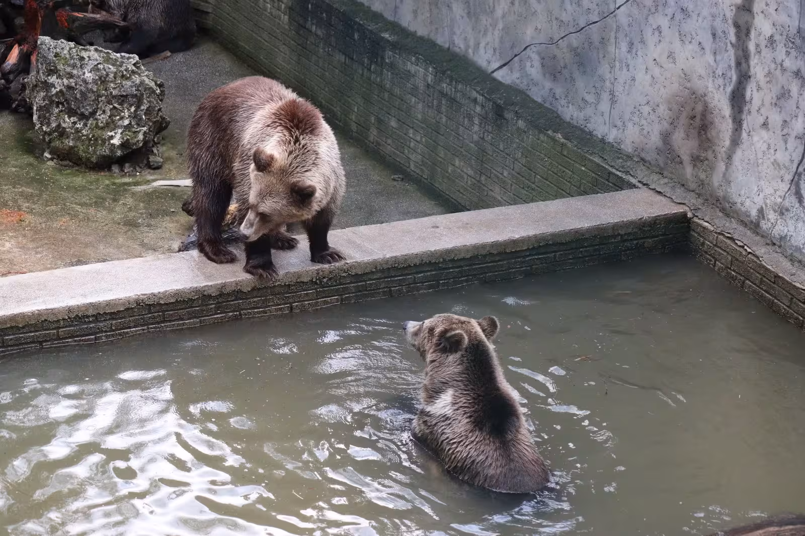 Bojnice Zoo – gallery image 4