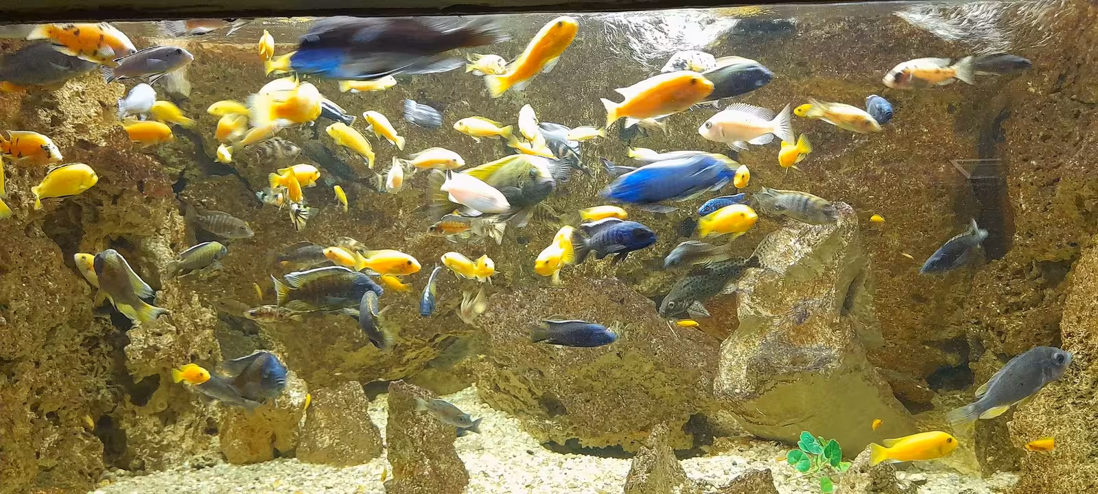 Bojnice Zoo – gallery image 5