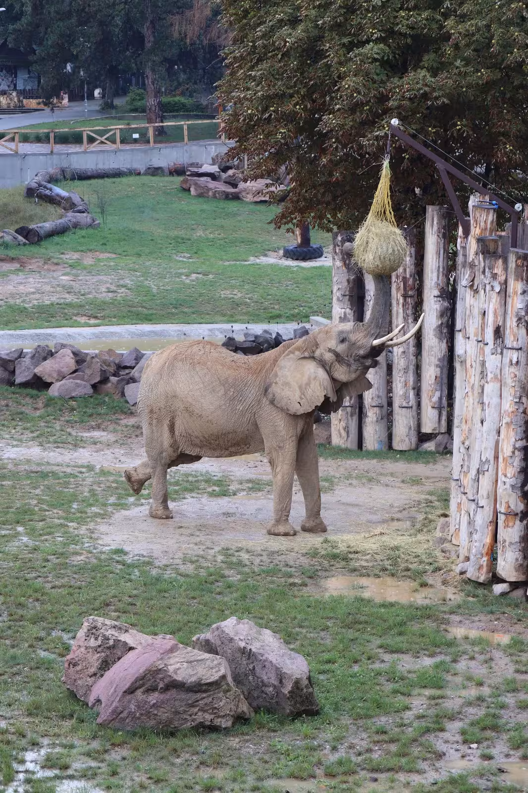 Bojnice Zoo – gallery image 6